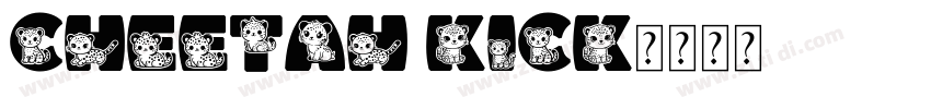 cheetah kick字体转换